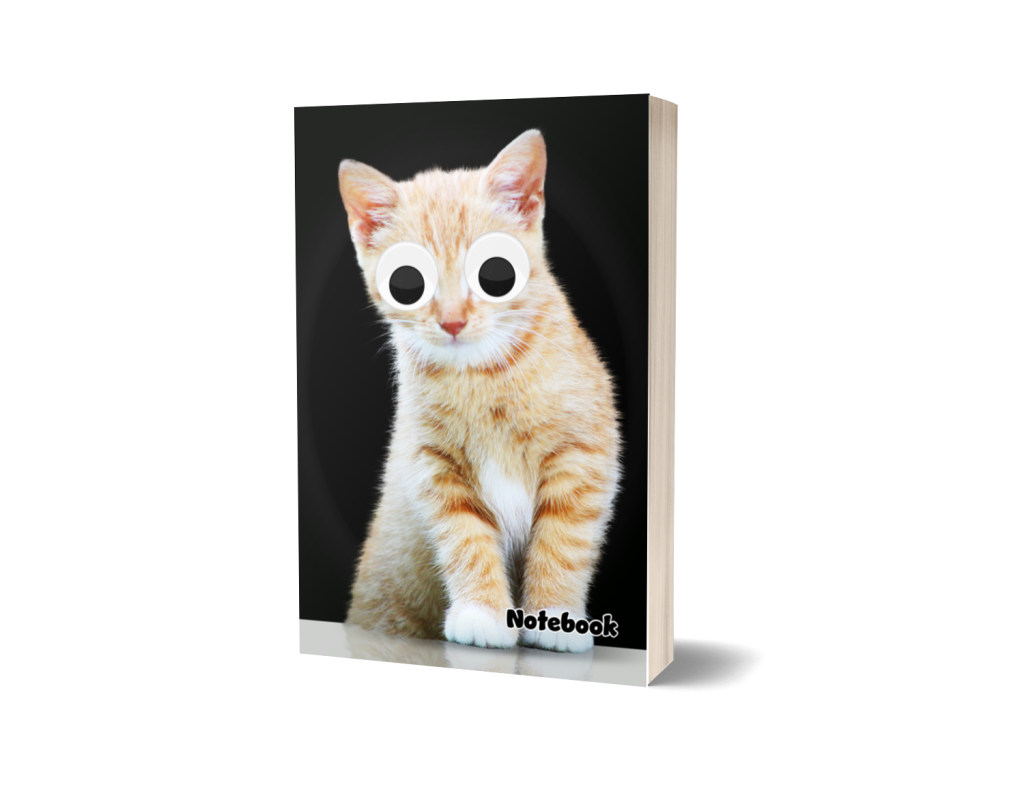 Orange Tabby Kitty Journal Notebook